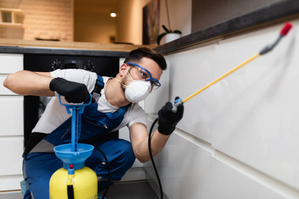 Best Local Pest Control Services  in Newport, TN