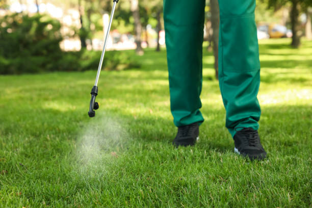 Best Emergency Pest Control  in Newport, TN