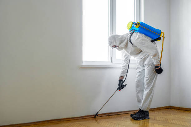 Best Best Pest Control Companies  in Newport, TN
