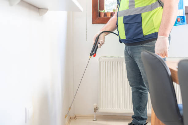 Best Flea Control Services  in Newport, TN