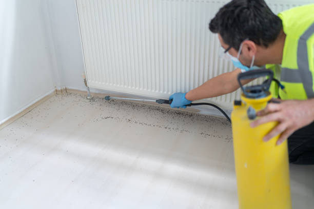Best Pest Removal Services  in Newport, TN