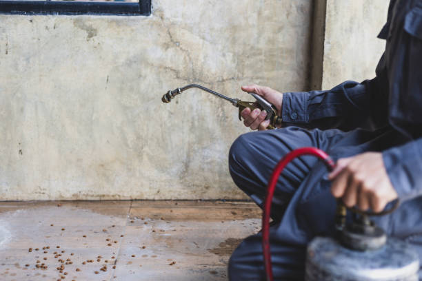 Best Pest Prevention Services  in Newport, TN