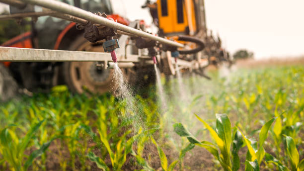 Best Ant Control Services  in Newport, TN