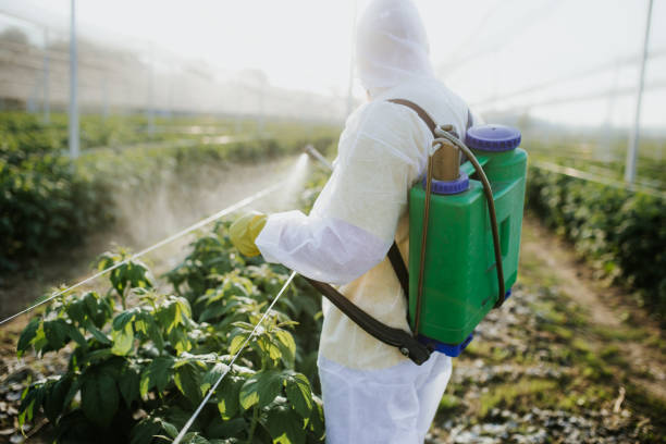 Best Insect Control  in Newport, TN